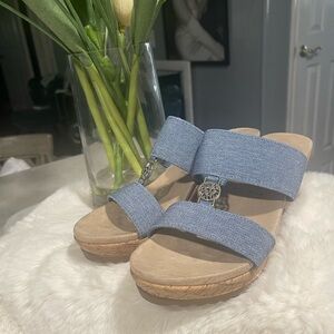 Anne Klein Blue Slide Sandals
